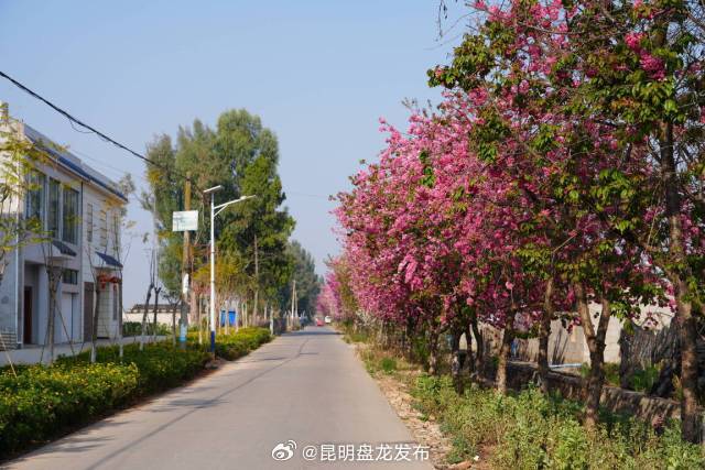 昆明盘龙发布