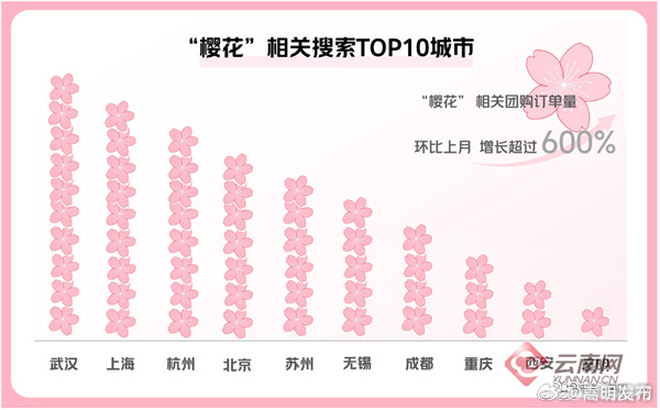 3月以来云南“赏花踏青”搜索热度环比增长257%