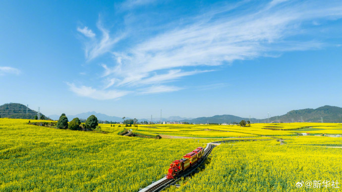 云南省文化和旅游厅