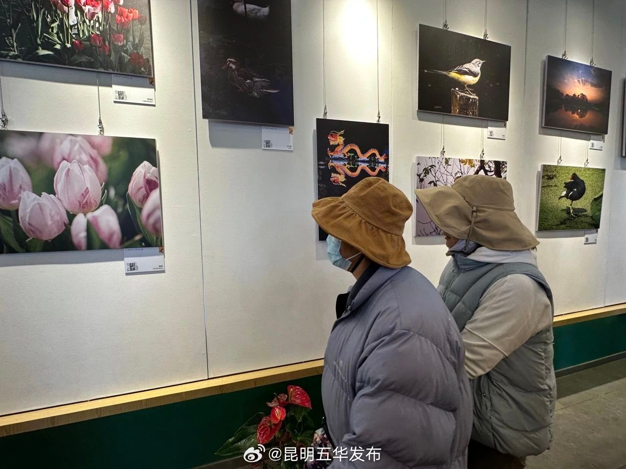 昆明五华发布