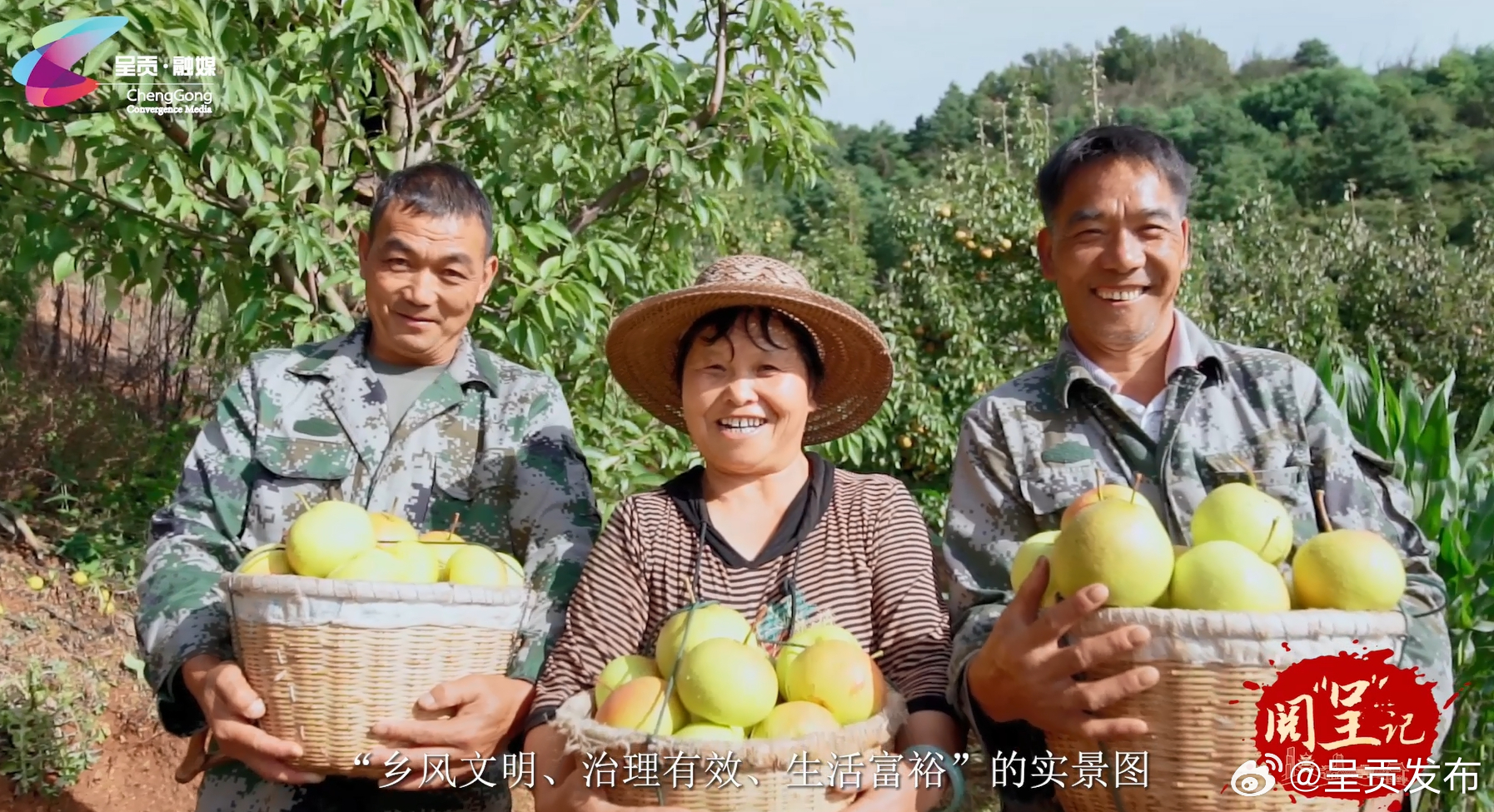 呈贡发布