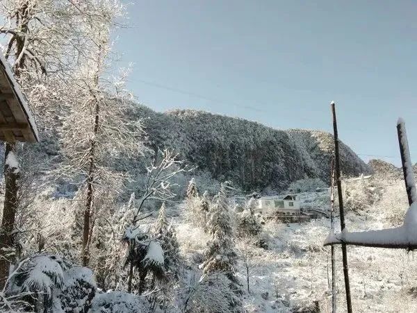 昭通日报