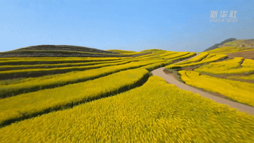 云南省文化和旅游厅