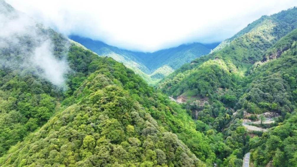 云南省文化和旅游厅