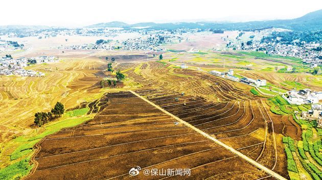 保山春耕备耕掀热潮 增产增收势头好