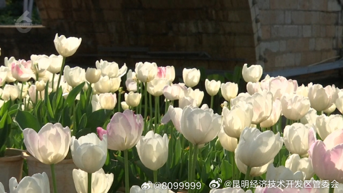 昆明经济技术开发区管委会