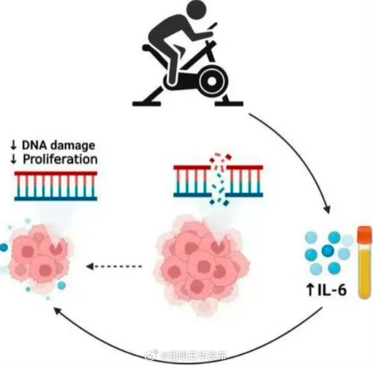 骑行有助于降低患癌风险
