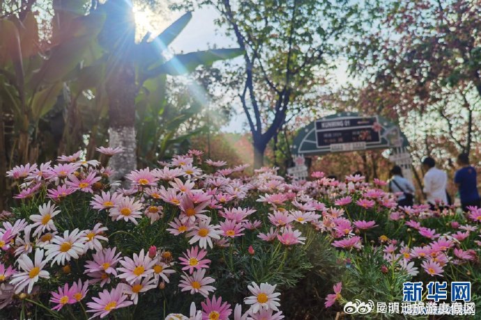 滇池旅游度假区