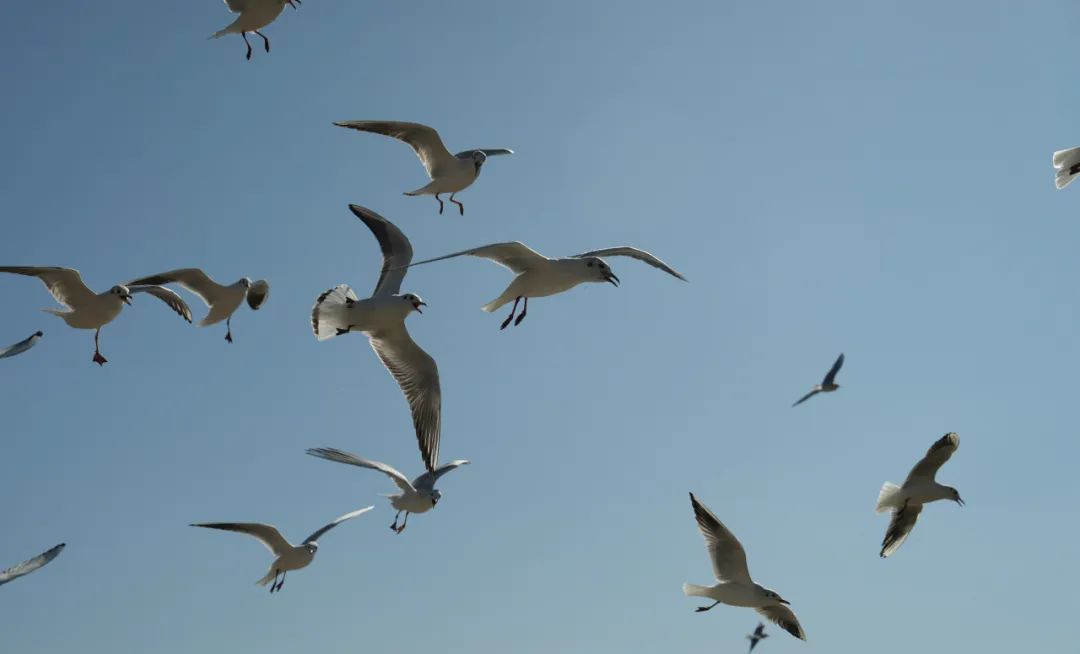 晋宁诗意的栖居地