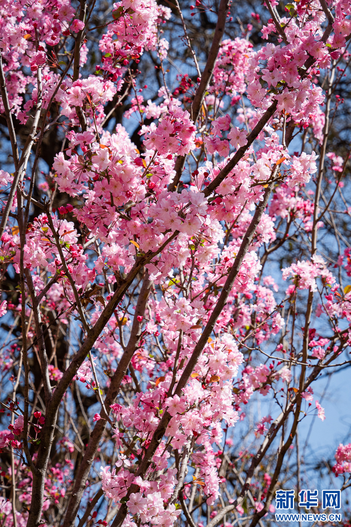云南省文化和旅游厅