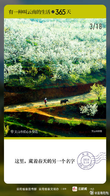 有一种叫云南的生活之365天丨3月18日 文山坝心