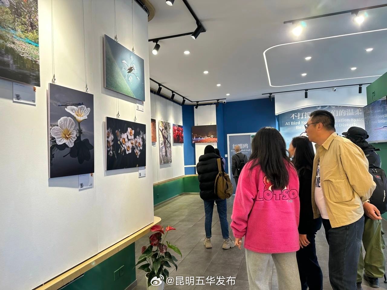 昆明五华发布