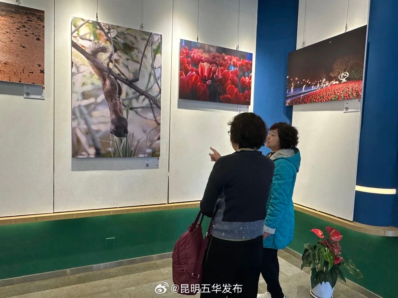 昆明五华发布