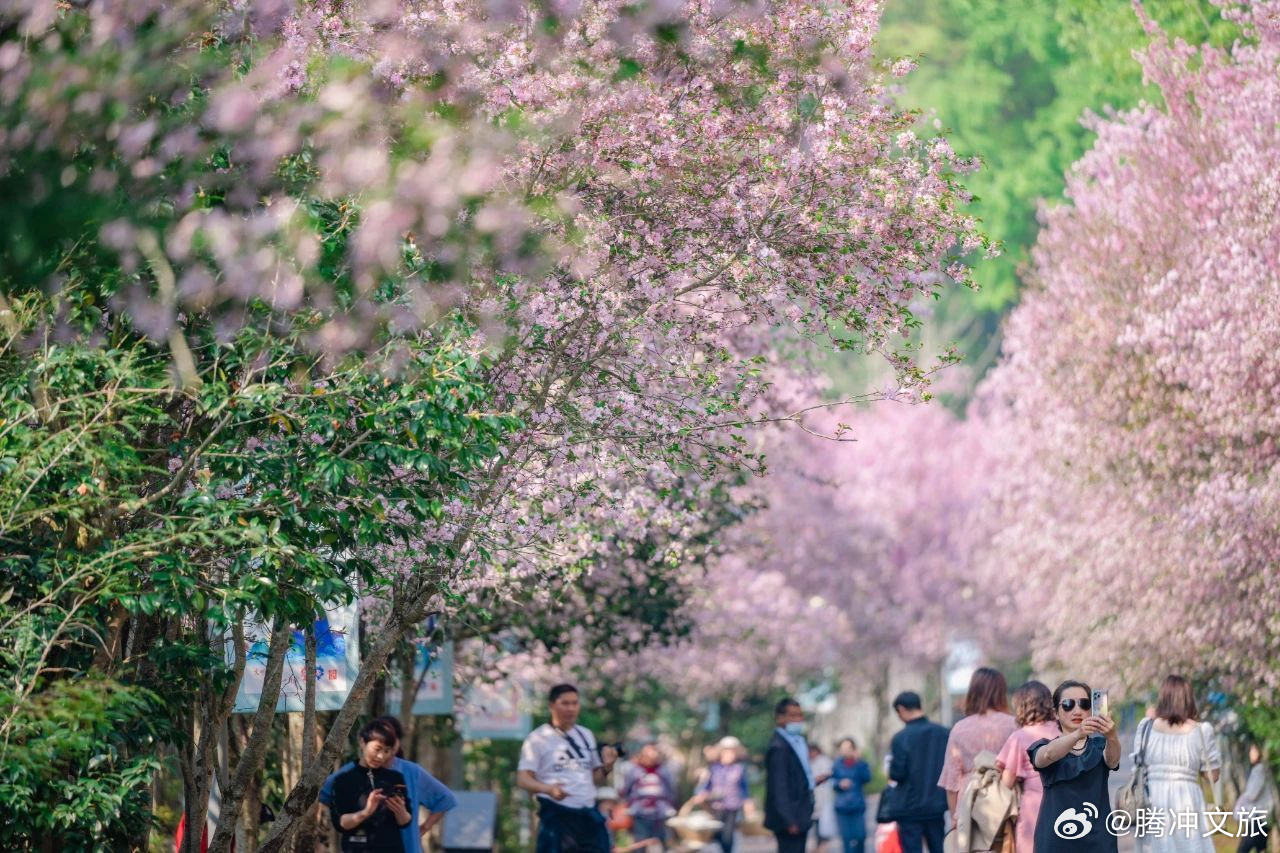 腾冲文旅