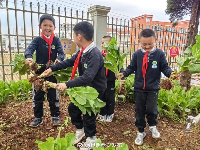 昆明盘龙发布