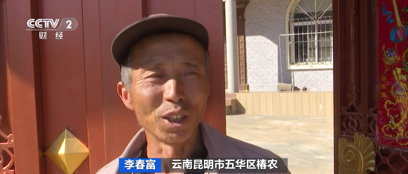 昆明信息港/cnkmxxg