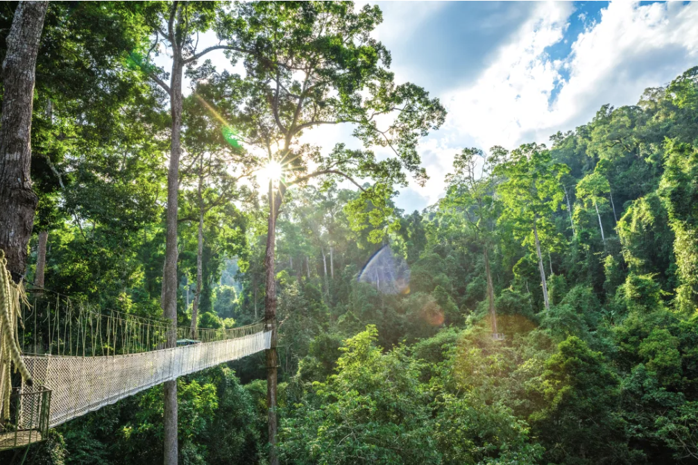 云南省文化和旅游厅