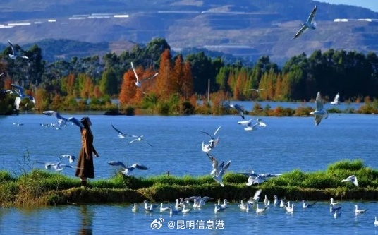 “昆明调”里的老昆明