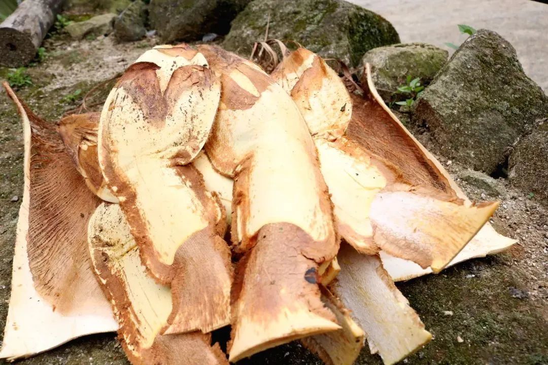 云南省文化和旅游厅