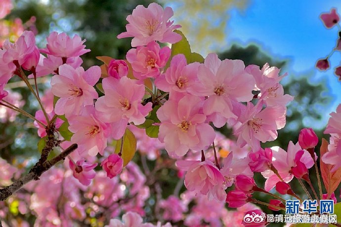 滇池旅游度假区