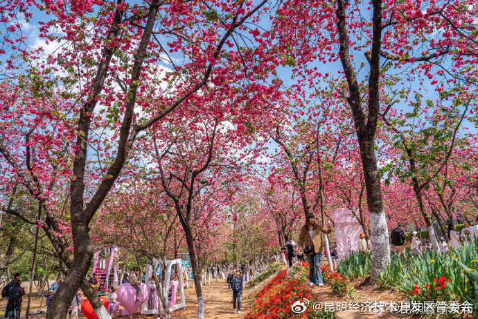 昆明经济技术开发区管委会
