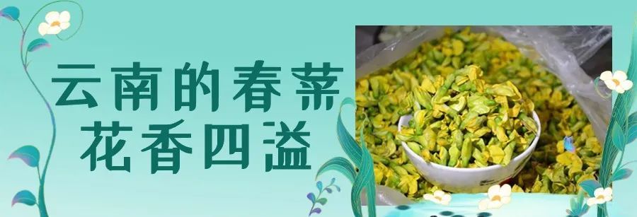 云南省文化和旅游厅