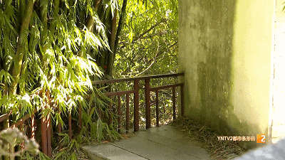 昆明信息港/cnkmxxg