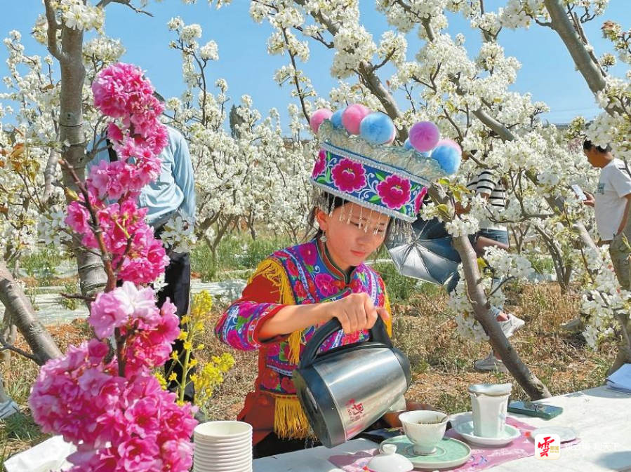 云南省文化和旅游厅