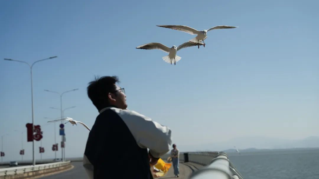晋宁诗意的栖居地