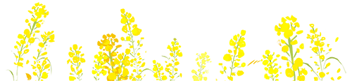 昆明文旅