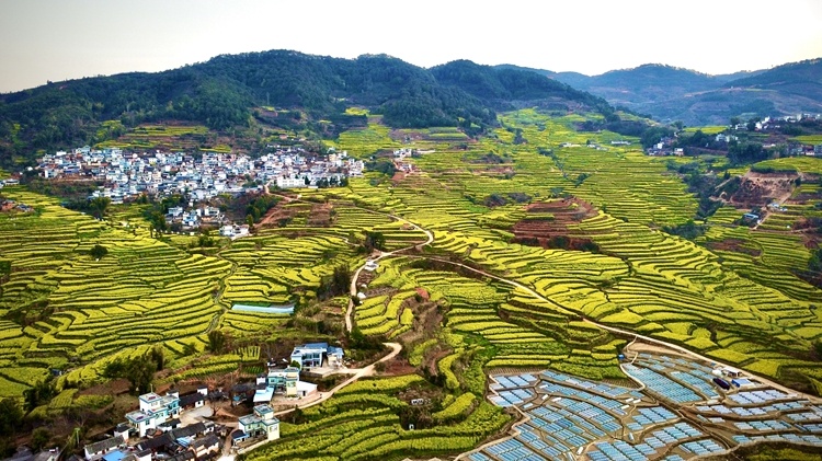 云南省文化和旅游厅