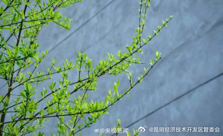 昆明经济技术开发区管委会