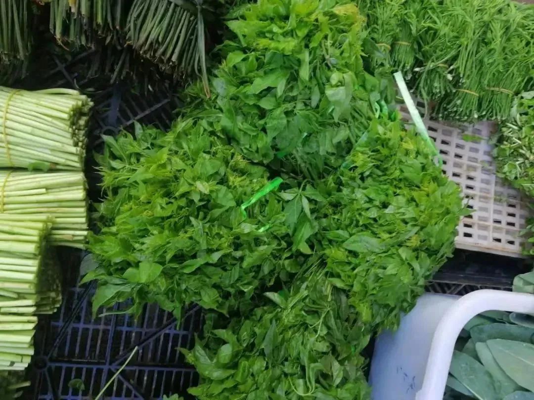 云南省文化和旅游厅