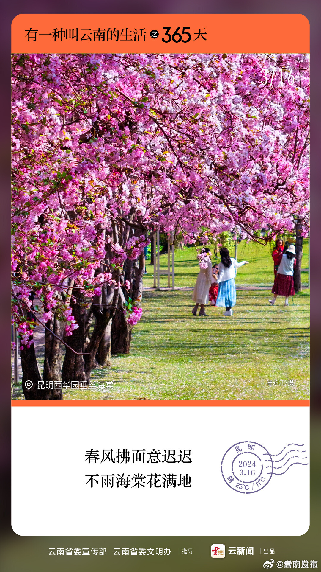 有一种叫云南的生活之365天丨3月16日 昆明西华园
