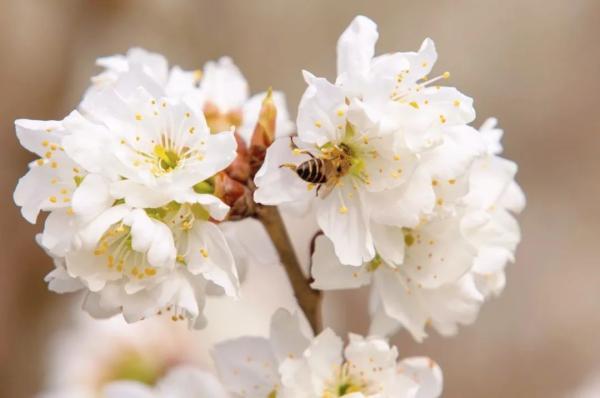 云南省文化和旅游厅
