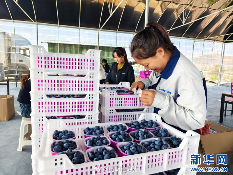 昆明信息港微博