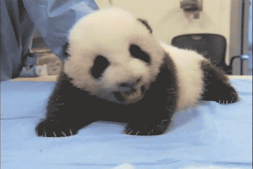 鼻炎可能导致黑眼圈 