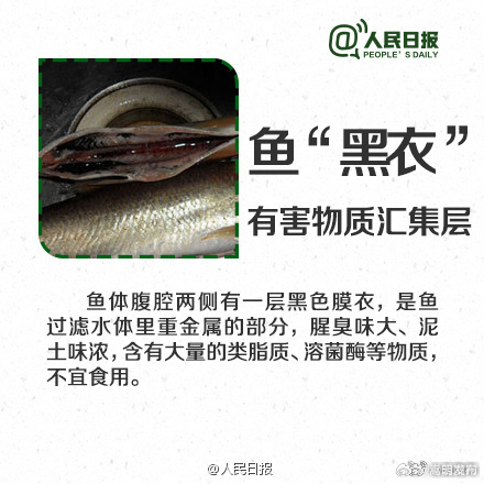 嵩明发布