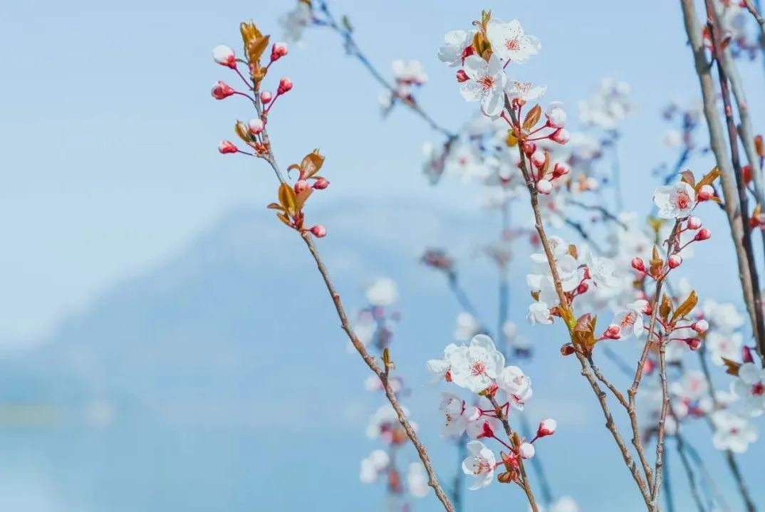 云南省文化和旅游厅