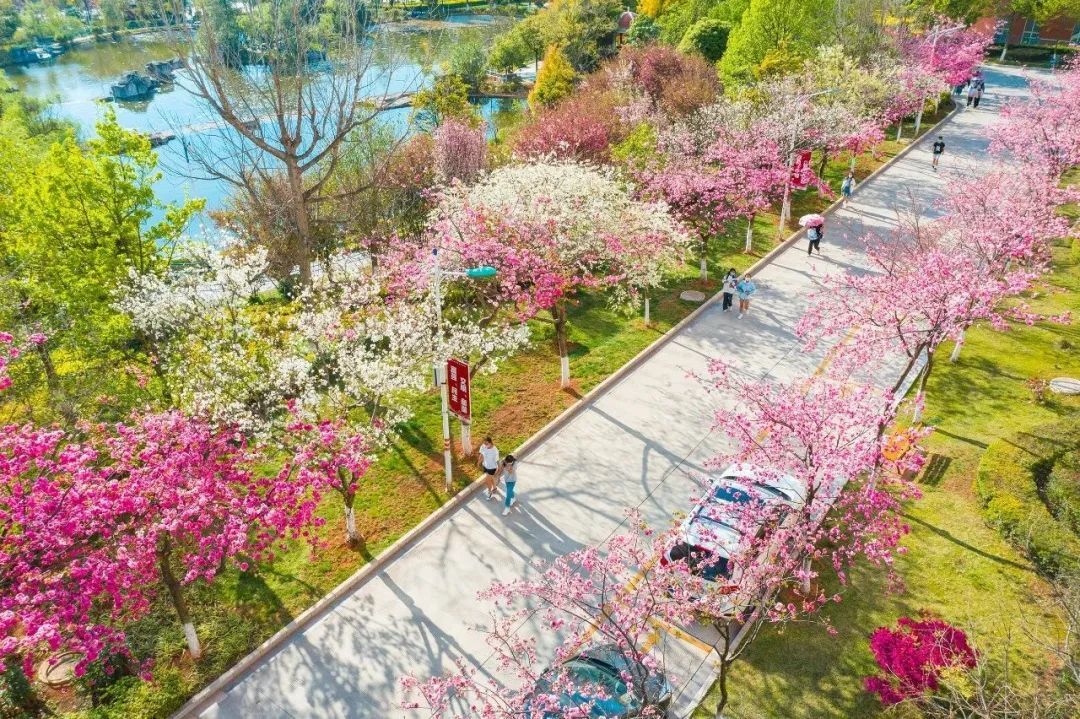 云南省文化和旅游厅