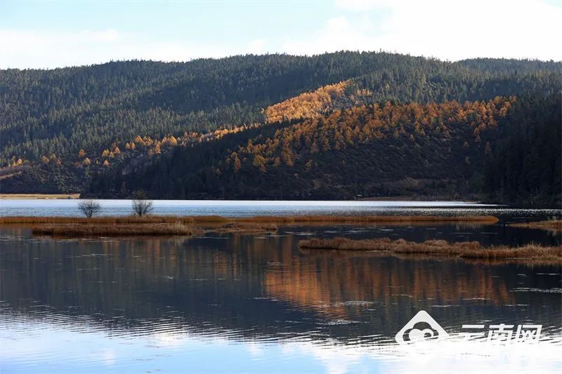 云南省文化和旅游厅