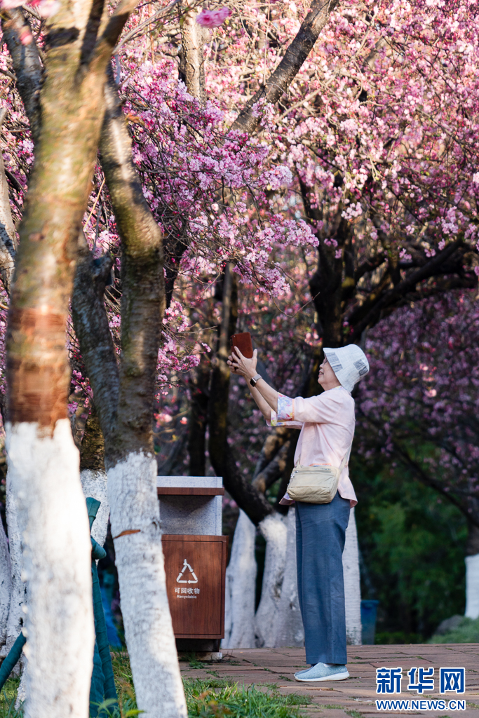 云南省文化和旅游厅