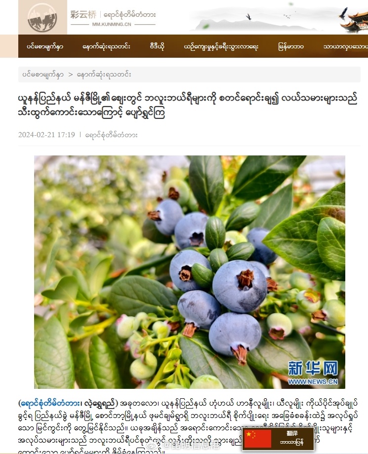 昆明信息港微博