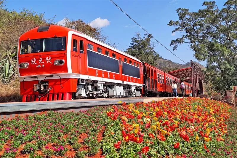 云南省文化和旅游厅