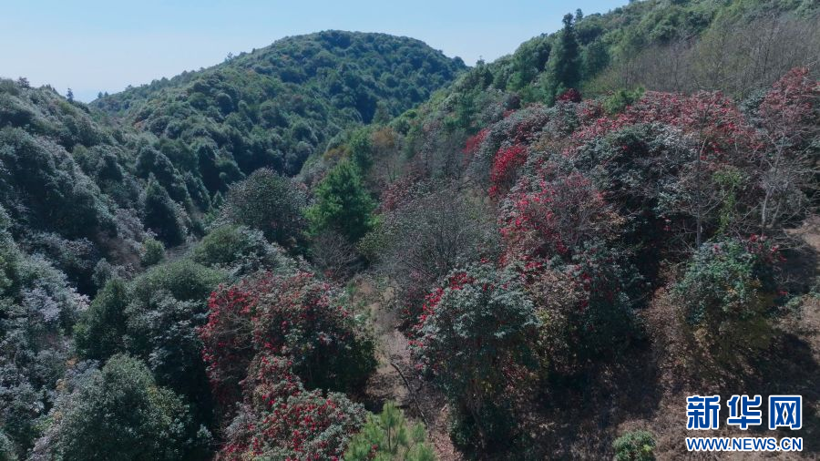 云南省文化和旅游厅