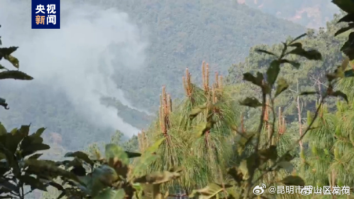 云南临沧山火已扑灭 转入清理看守阶段