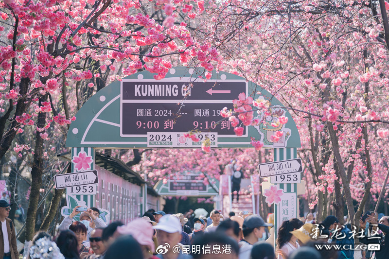 昆明信息港微博