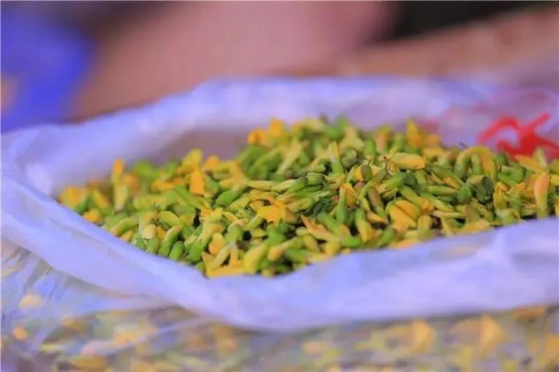 云南省文化和旅游厅