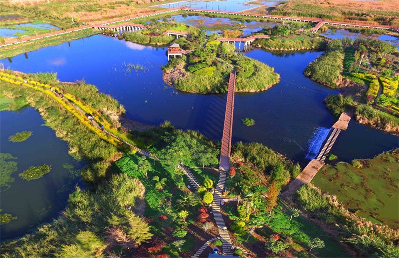 云南省文化和旅游厅