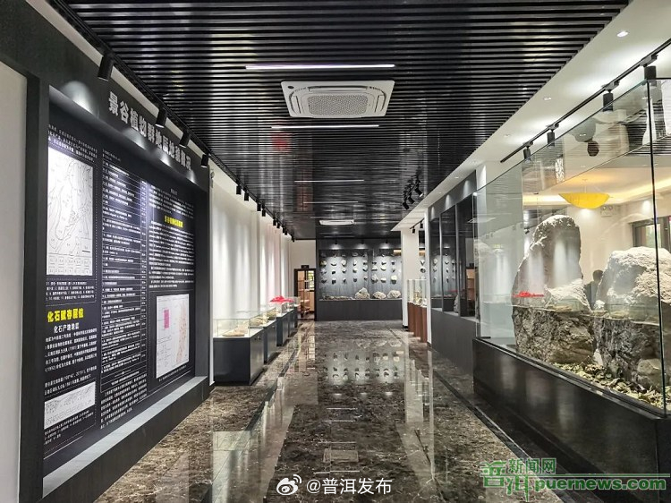 景谷古生物化石展陈馆开馆